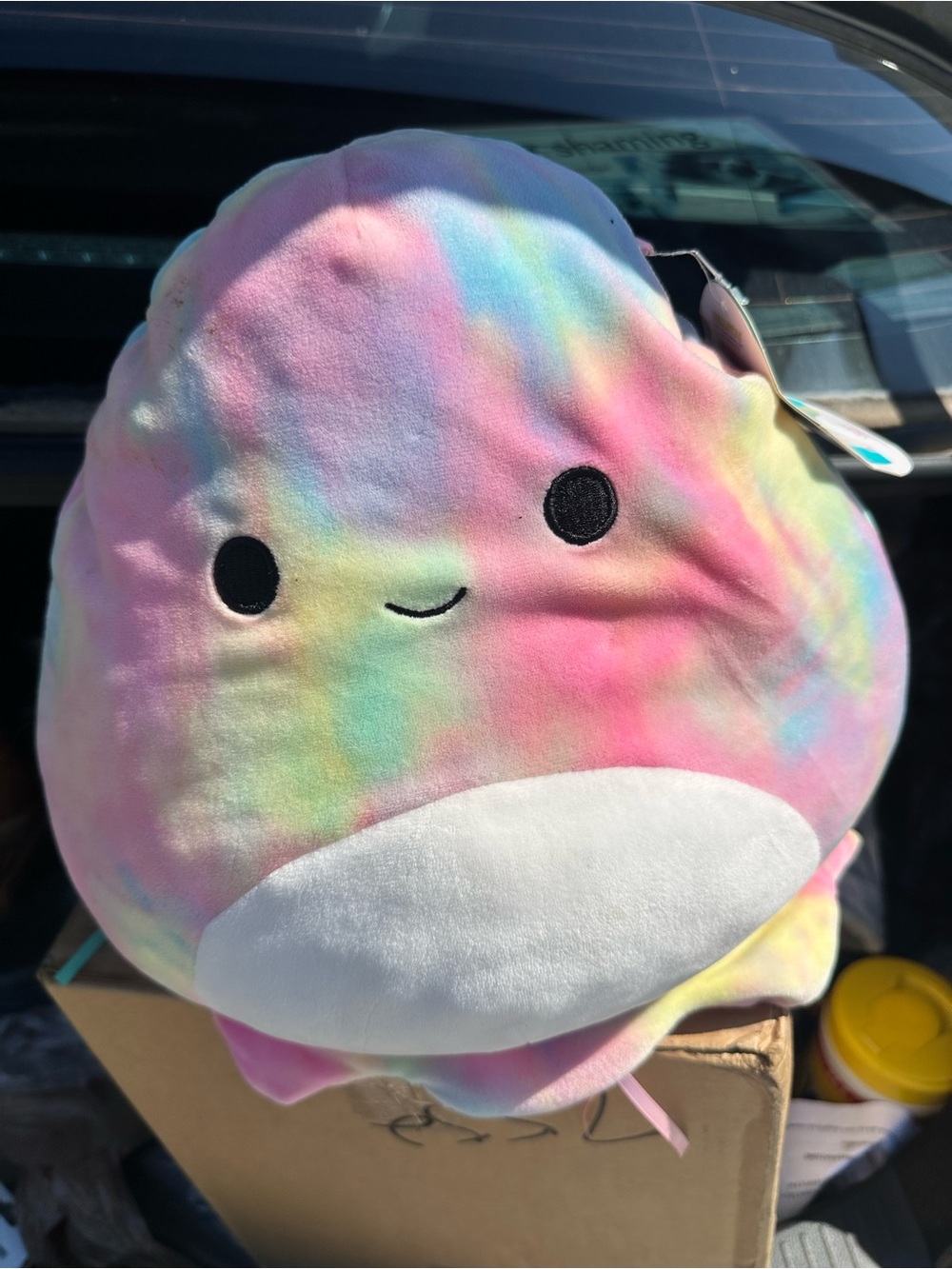 Squishmallows Pastel Rainbow Plush with White Belly